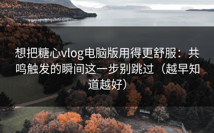 想把糖心vlog电脑版用得更舒服：共鸣触发的瞬间这一步别跳过（越早知道越好）