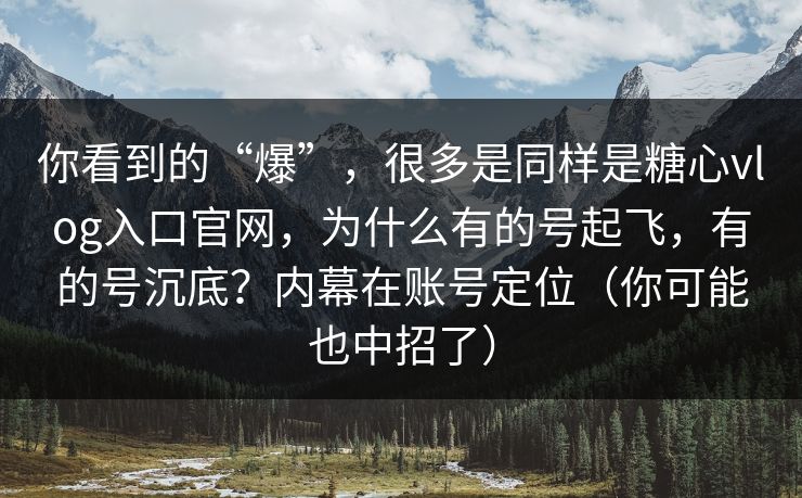 你看到的“爆”，很多是同样是糖心vlog入口官网，为什么有的号起飞，有的号沉底？内幕在账号定位（你可能也中招了）