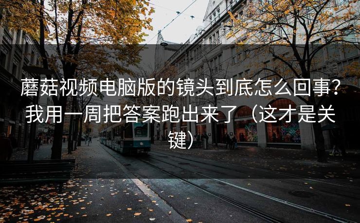蘑菇视频电脑版的镜头到底怎么回事？我用一周把答案跑出来了（这才是关键）