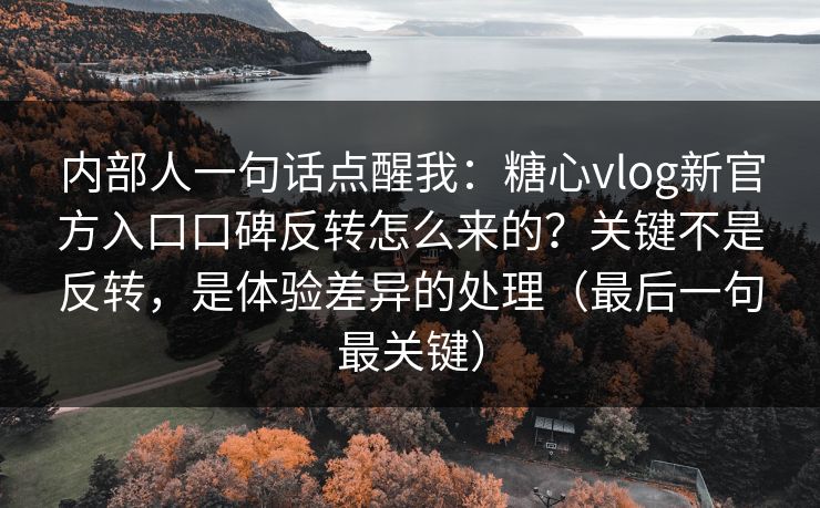 内部人一句话点醒我：糖心vlog新官方入口口碑反转怎么来的？关键不是反转，是体验差异的处理（最后一句最关键）